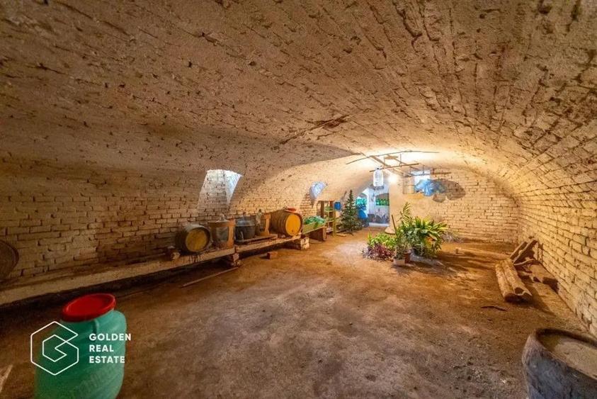 Teren intravilan Vladimirescu, 984 mp, fara comision - 6