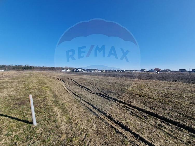 Teren Intravilan de Vânzare în Hemeiuș - 7