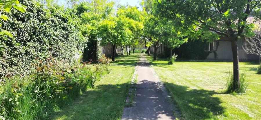 Case + teren 3000mp. de vanzare - 5