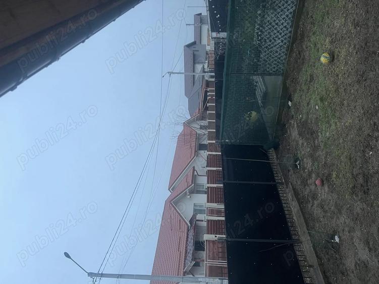 Casa individuala tip parter in Comuna Berceni-Vidra - 2