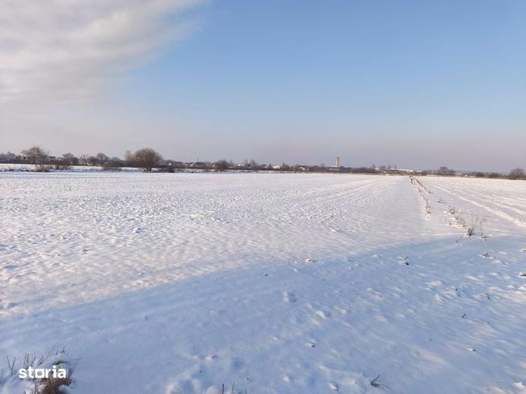 Teren intravilan, zona Scruntari, 8700mp, 30ml front stradal, Radauti - 2