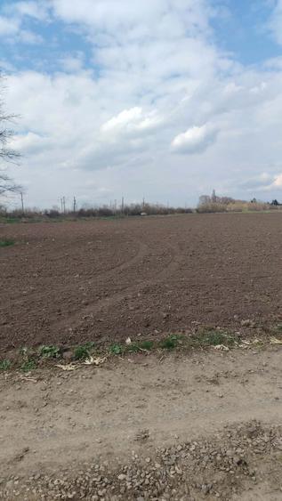 Teren de vanzare - 2