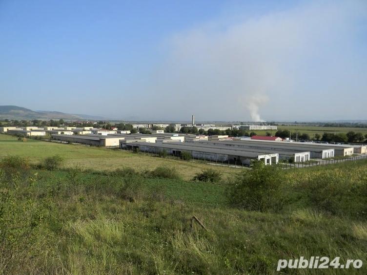 Inchiriez spa?iu expozi?ional-birou amenajat in Bazar Balata-?oimus - 2