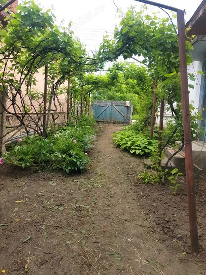 Casa de vanzare 1242 mp teren - 1