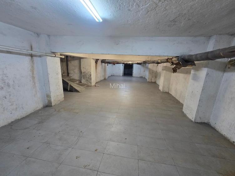 Vand Hala Depozit Suprafața 190 mp proprietar p.f. calea aradului 40