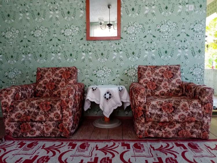 Vand 2 case si gradina - 5