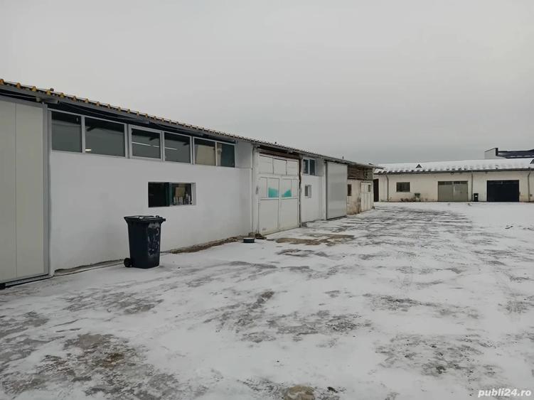 Hale de inchiriat - 2