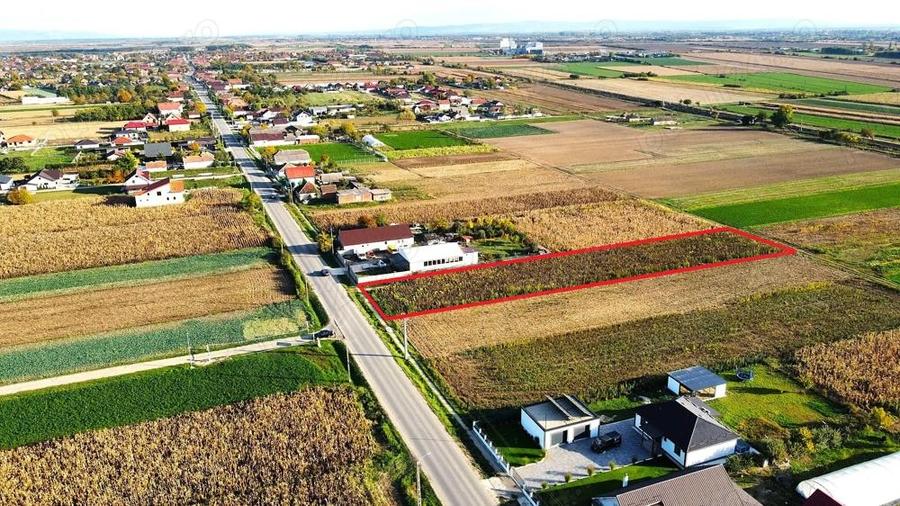 Teren intravilan de vanzare 3000 mp, Botiz, str. Sirul Mare, la doar 7 km de centrul Satu Mare - 9