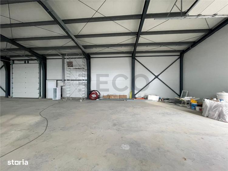 RECO hala cu teren in Osorhei - 4