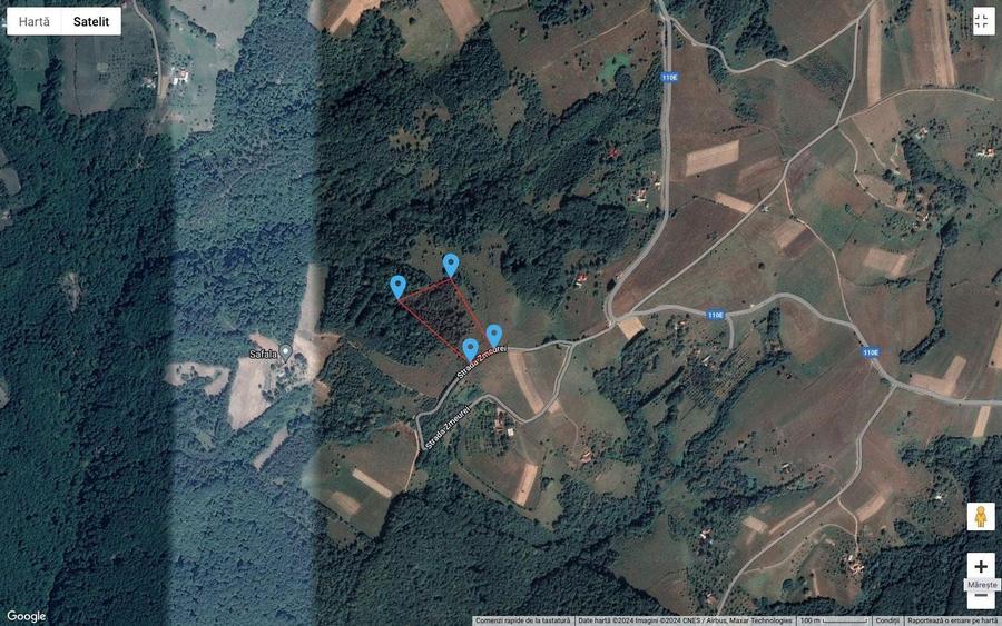 De vanzare 16250 mp teren Sinteu - 6