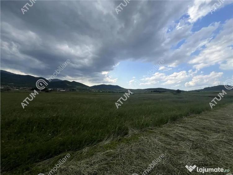 Teren intravilan de 3477 mp cu deschidere de 35 m in Boita - 2