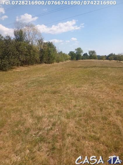 Teren Intravilan, situat in Sat Tismana (zona Gornovita) - 6