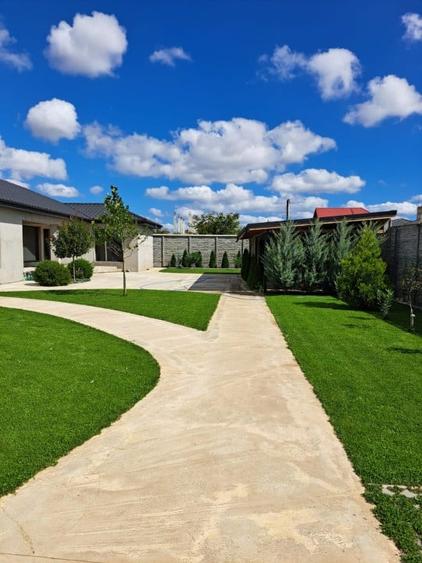 CASA CUMPANA LA ALB | TEREN 814 | BECI + PUT DE APA | - 11