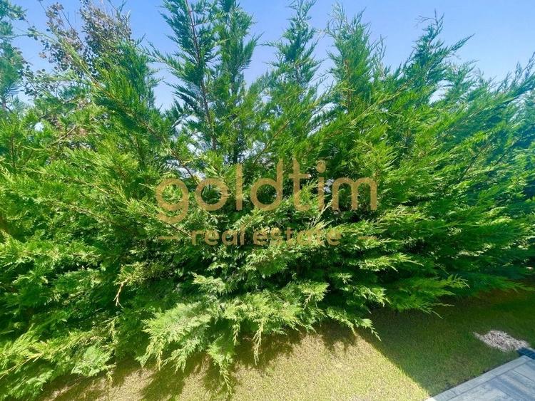 SUPERB/ GRADINA MATURA/  MOBILAT SI UTILAT/MODIFICAT/PRETABIL CUPLU - 23