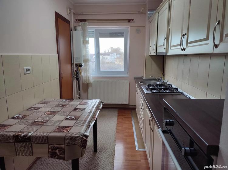 Apartament cu 2 camere in Ineu, Arad - 1