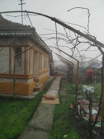 Casa de vanzare batraneasca - 8