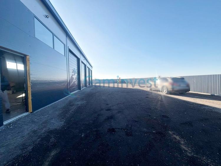 Hala industriala noua de inchiriat, Les, Bihor - 3