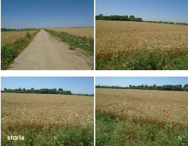 Teren extravilan cota parte 1/6 Domnesti ; ID: R2928832 - 1