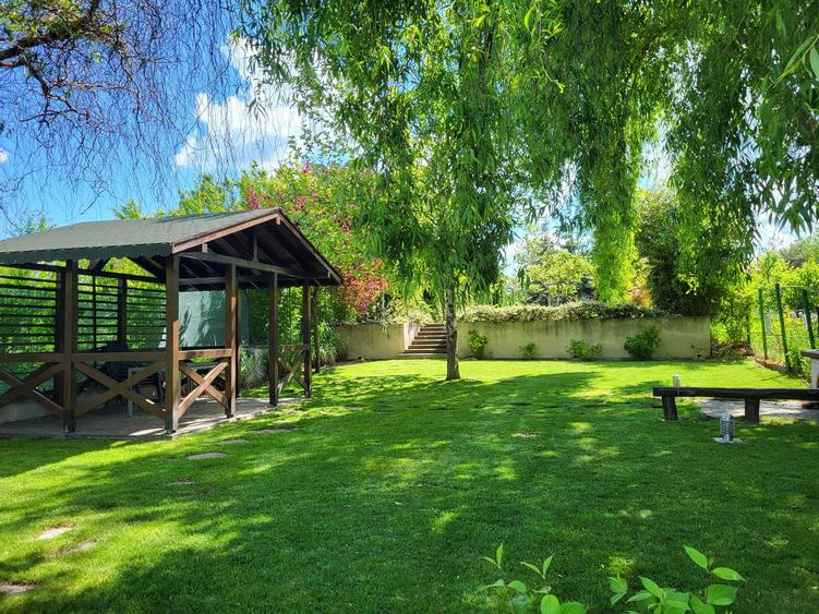 Dimineți pe ponton, seri la piscină – viața la Snagov. - 3