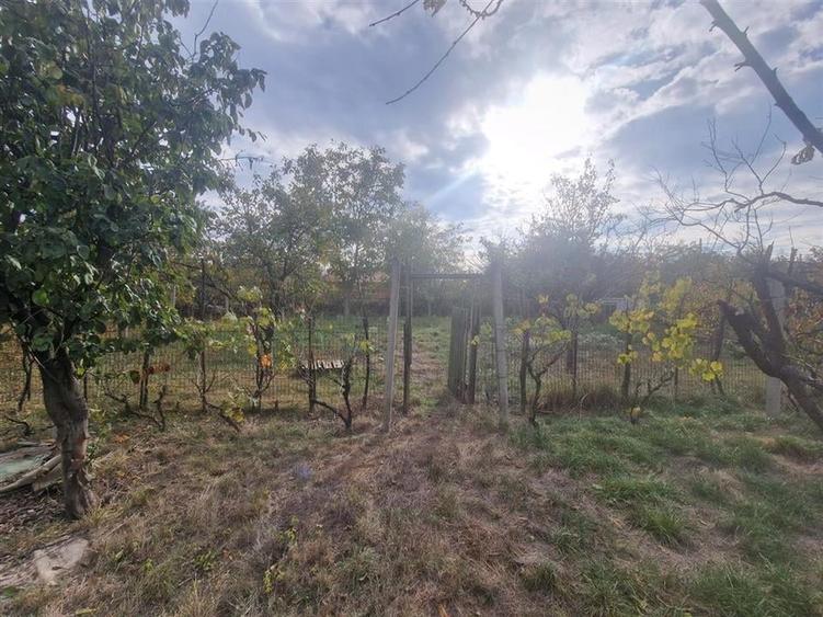 RECO Vila deosebita  in Santandrei cu teren generos - 48