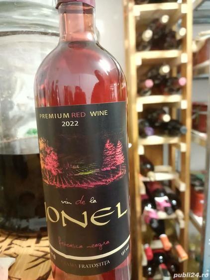 Casa cu podgorie, Fratostita - 8