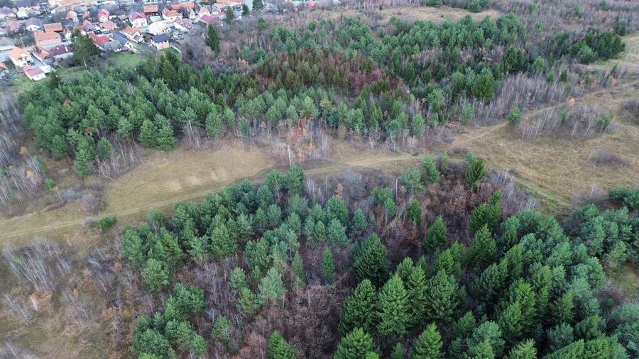 Comision 0%! Teren Sacele / Strada Valea Larga 2000 mp - 8