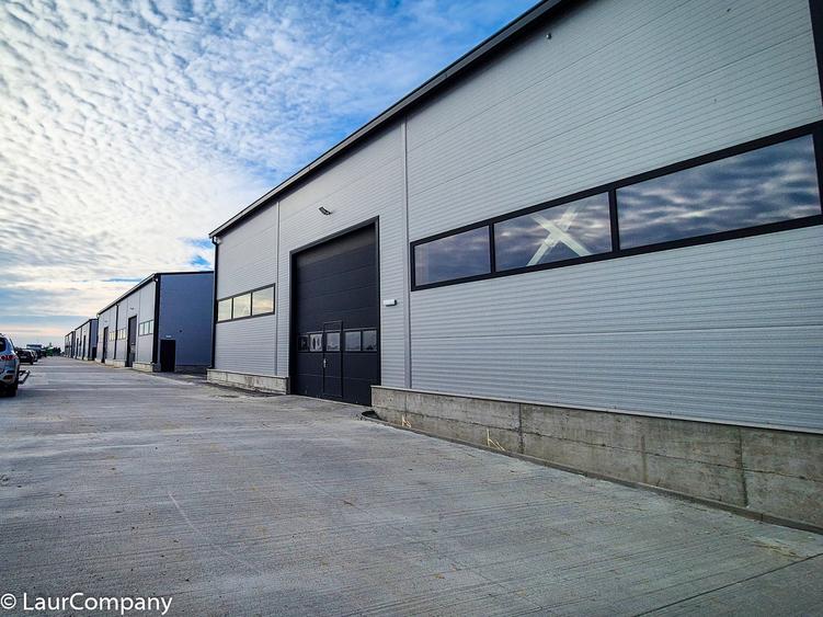 Hale,spatii industriale Albota,Pitesti Arges - 10