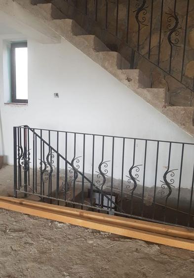 Casa de vanzare Demisol+P+1E+M,Teren 7000 mp - 1