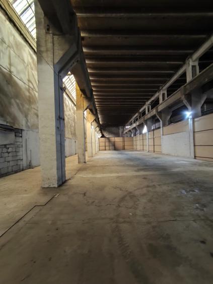 Jilava, Șos. Giurgiului - Spatii Productie/Depozitare - 185 EUR - 795 EUR - 3