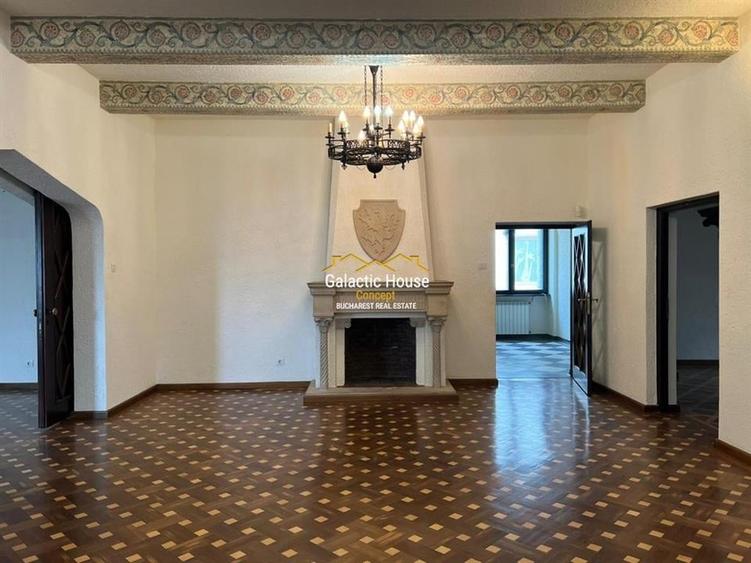 Vila 20 camere Dorobanti || Guvern || Gradina - 8