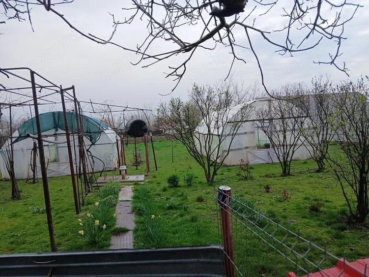 Vand sau schimb cu apartament cu 2 camere plus diferenta,casa in sat Albina comuna Tichilesti - 7