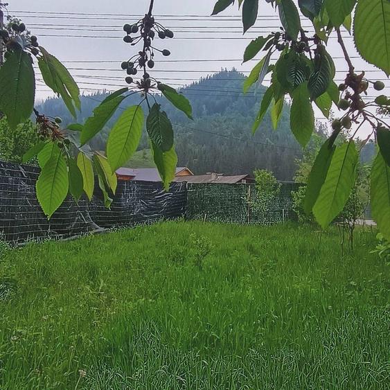 Teren de vanzare Frasin, Gura Humorului - 4