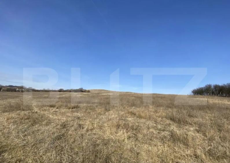 Teren extravilan in suprafata de 140551 mp in loc. Recea - 6