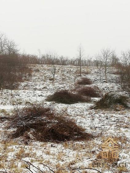 Teren intravilan de vanzare in zona Gheorghe Doja-Oradea - 4