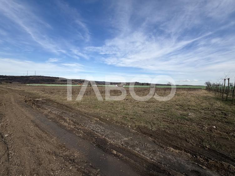 Teren Intravilan 1440 mp cu toate utilitatile Zona Meltea Fagaras - 3