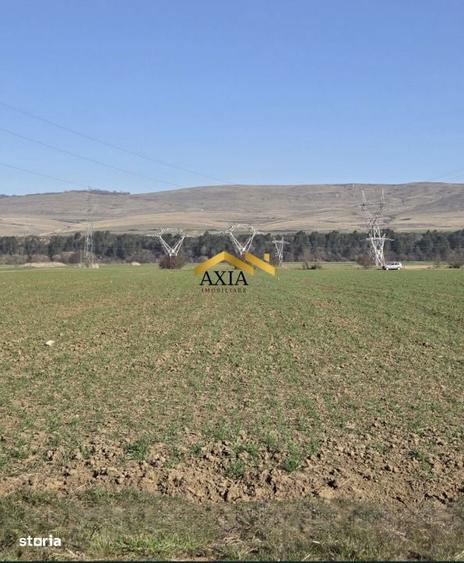 Teren intravilan 2.128 mp langa viitorul Urbano Mall Floresti - 2