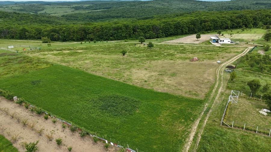 Teren intravilan 3.000 mp – 8 min de Oradea, Săldăbagiu de Munte - 6