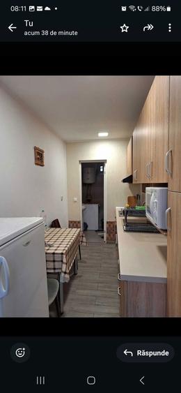 Apartament cu o camera la curte comuna - 3