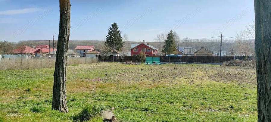 Teren de inchiriat 2200m ,Com Borcea (CL), term lung-INTRAVILAN - 4