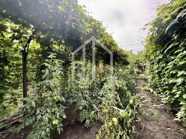 Casa individuala, 505mp teren, pivnita, acces auto, zona Centrala - 12