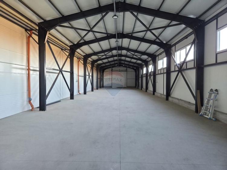 Hala plus spatiu birouri, zona Strada Vrancei - 6