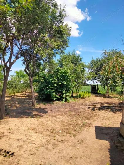 Vand casa in Voivozi, comuna ?imian - 2