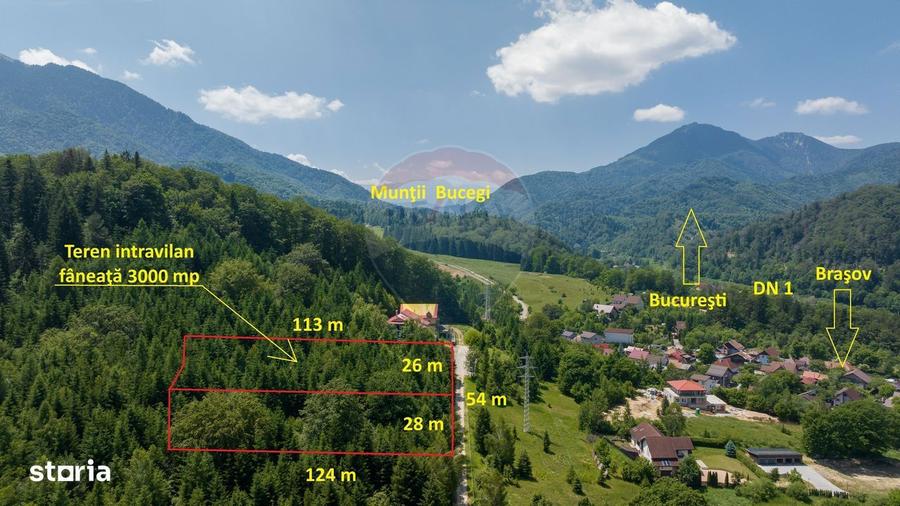 Teren intravilan, 3000 mp, Dambu Morii - 4