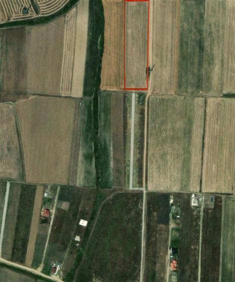 TEREN INTRAVILAN | 5.755 MP | ZONA GRIGORESCU 2| BIHOR - 1