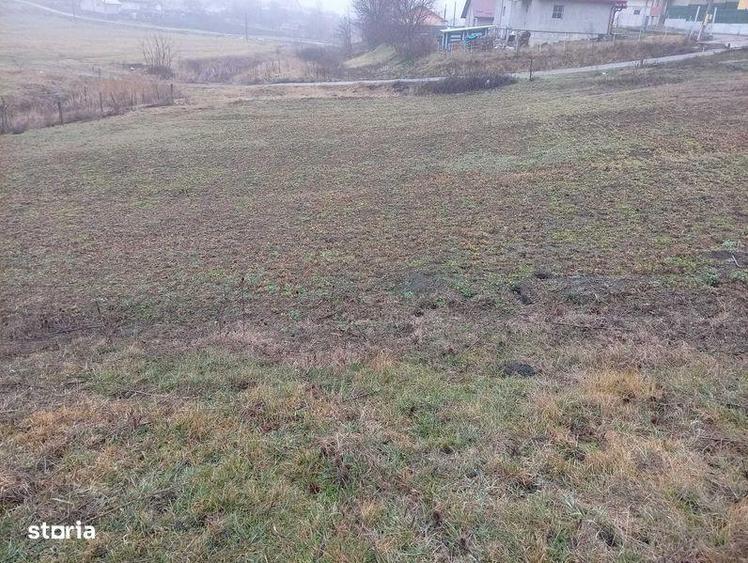 Direct de la proprietar - teren intravilan 820mp Proselnici - 4
