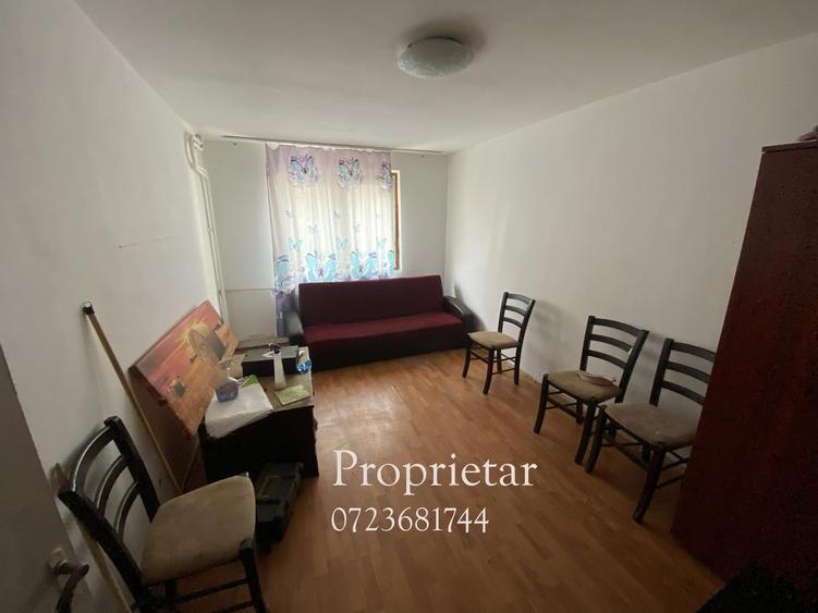 Nicolae Grigorescu, Proprietar - 1