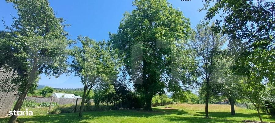 Casă cu 2 camere în Sebeș