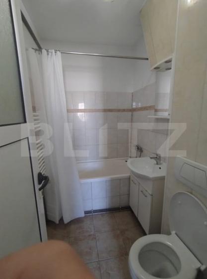 Apartament 2 Camere Alexandru cel Bun - 8