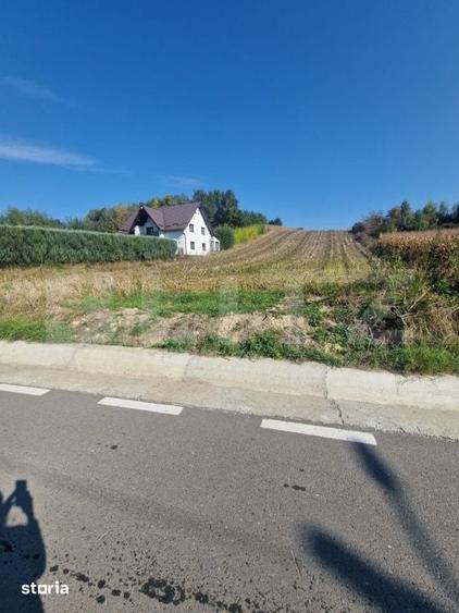 Teren de 10003 mp, în Moara