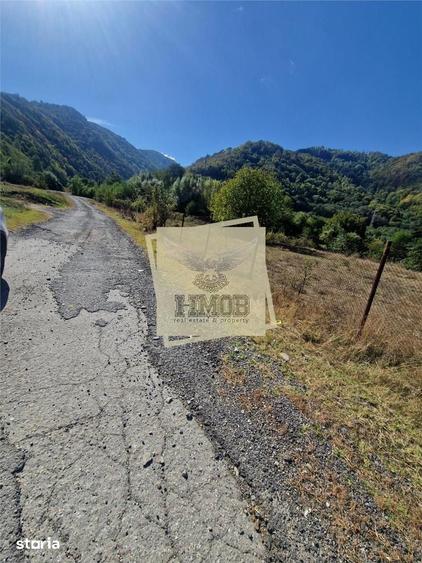 Teren de 4360 mp, în Câineni